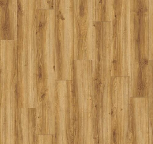 Moduleo Transform Classic Oak 24438