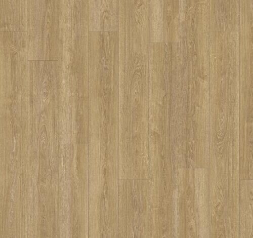 Moduleo Transform Verdon Oak 24237